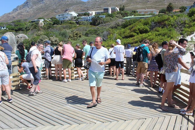 Full-Day Tour to Cape Point and Cape of Good Hope - Boulders Beach and the African penguins