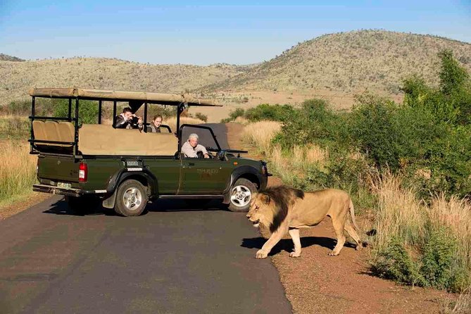 Full Day Ultimate Pilanesberg National Park Safari from Johannesburg or Pretoria - The afternoon drive and the return journey