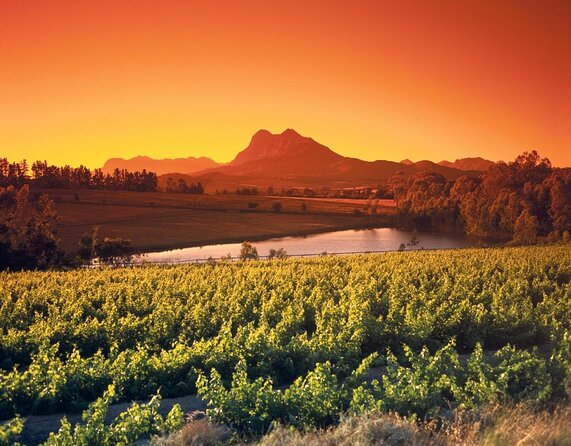 Full Day Wine Tasting in Stellenbosch, Franschoek & Paarl fees included - Key points at a glance