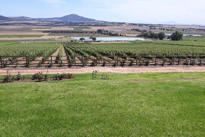 Full Day Wine Tasting in Stellenbosch, Franschoek & Paarl fees included - Three wine regions without the taxi puzzle