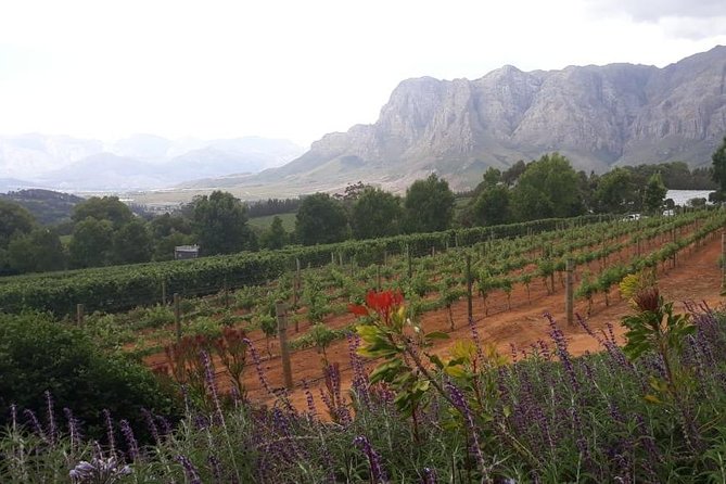 Full Day Wine Tasting in Stellenbosch, Franschoek & Paarl fees included - Paarl and the Spice Route finish