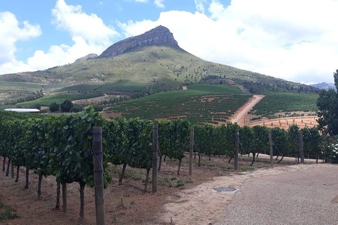 Full Day Wine Tasting in Stellenbosch, Franschoek & Paarl fees included - What the $85 price really covers