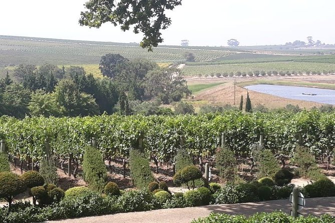 Full Day Wine Tasting in Stellenbosch, Franschoek & Paarl fees included - The pace, vehicle, and guide matter