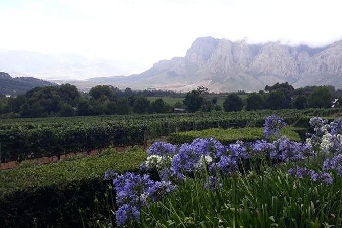 Full Day Wine Tasting in Stellenbosch, Franschoek & Paarl fees included - Who will get the most from this tour