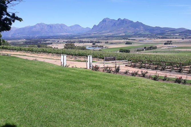 Full Day Wine Tasting in Stellenbosch, Franschoek & Paarl fees included - DeMorgenzon and the Stellenbosch opening
