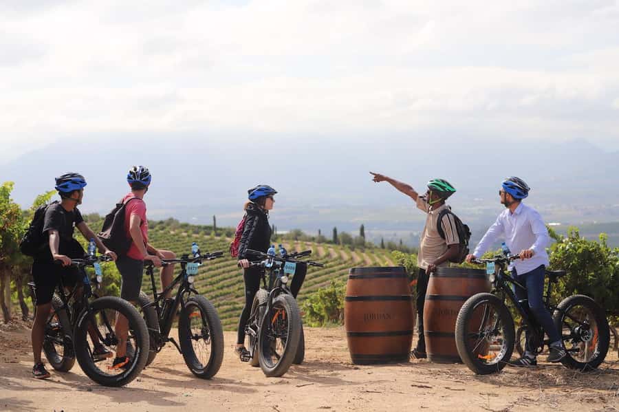 Full-Day Winelands E-Bike Tour with Wine Tasting & Lunch - First wine tasting at an award-winning estate