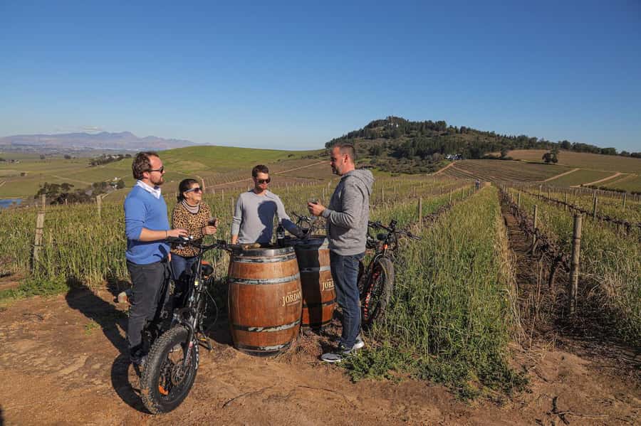 Full-Day Winelands E-Bike Tour with Wine Tasting & Lunch - The second tasting and the ride back