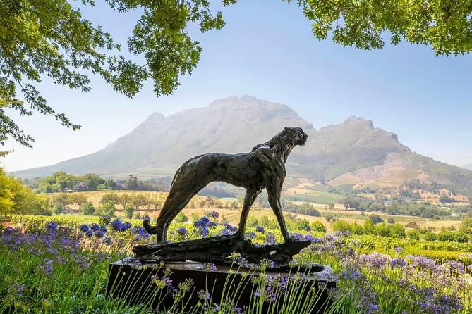 Full Day Winelands Tour With Wine Tasting from Cape Town - What this Cape Town wine tour is really designed to do