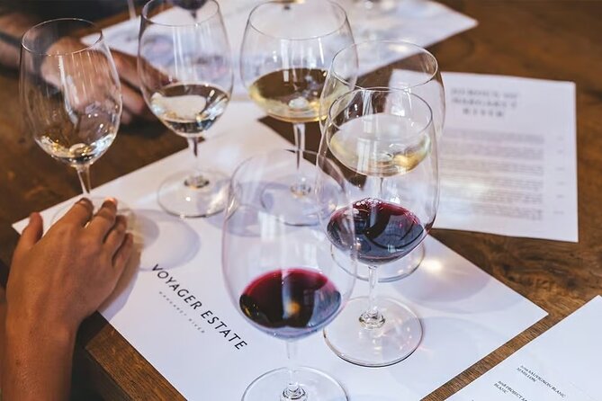 Full Day Winelands Tour With Wine Tasting from Cape Town - The private car is the tour’s biggest practical advantage