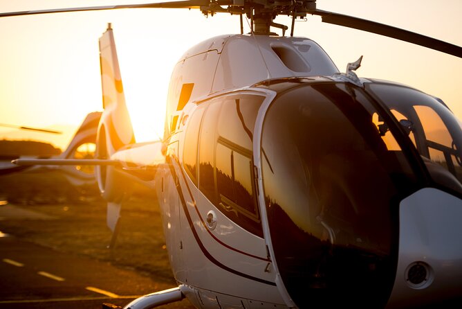 Full Peninsula Scenic Helicopter Flight with Free Boat Cruise - Simon’s Town, Boulders Beach, and the penguin colony