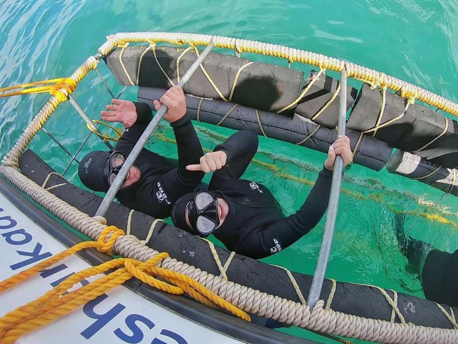 Gansbaai: Shark Cage Diving and Shark Viewing Boat Trip - Meeting the crew in Kleinbaai