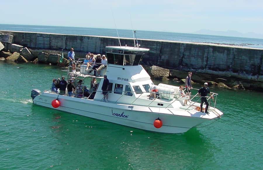 Gansbaai: Whale Watching Trip by Boat - Cruising beneath the De Kelders cliffs