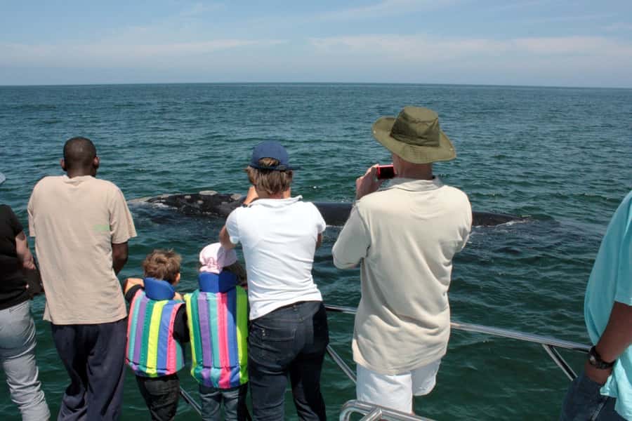 Gansbaai: Whale Watching Trip by Boat - Weather, clothing, and comfort on the water