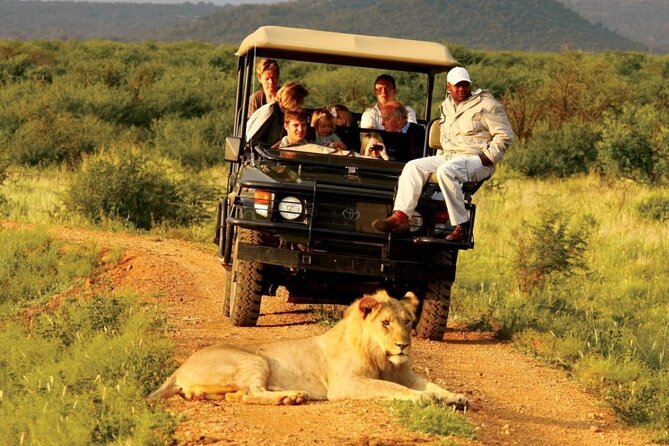 Garden Route 5 Day Hiking & Safari Adventure from Cape Town - Day 2: Botlierskop wildlife and Knysna at sunset