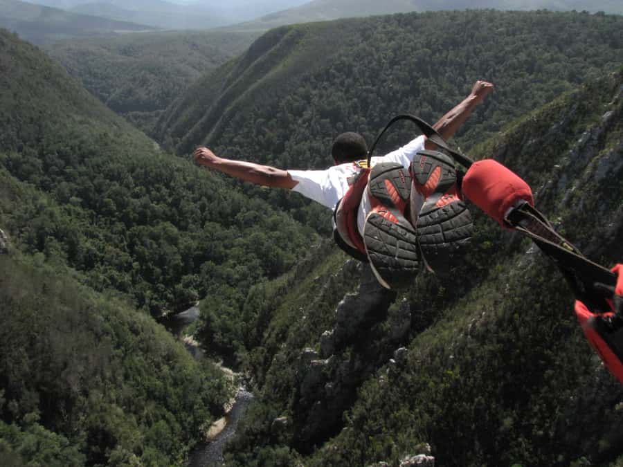 Garden Route and Addo Elephant National Park: 5-Day Safari - Day 4: Knysna, Bloukrans, Tsitsikamma, and Addo