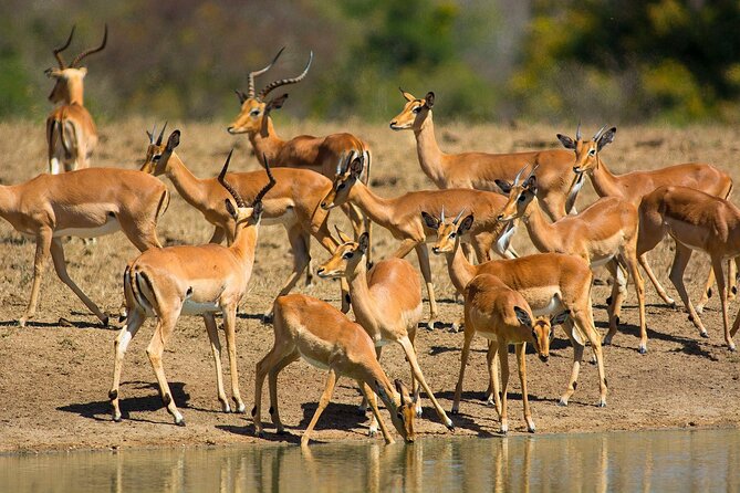 Garden Route and Addo National Park 4 Day Safari - Who will enjoy this route most