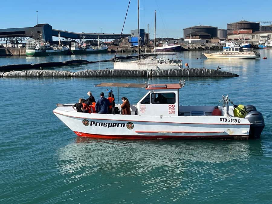 Gqeberha: 30 MINUTE HARBOUR CRUISE - Key points to know before you book