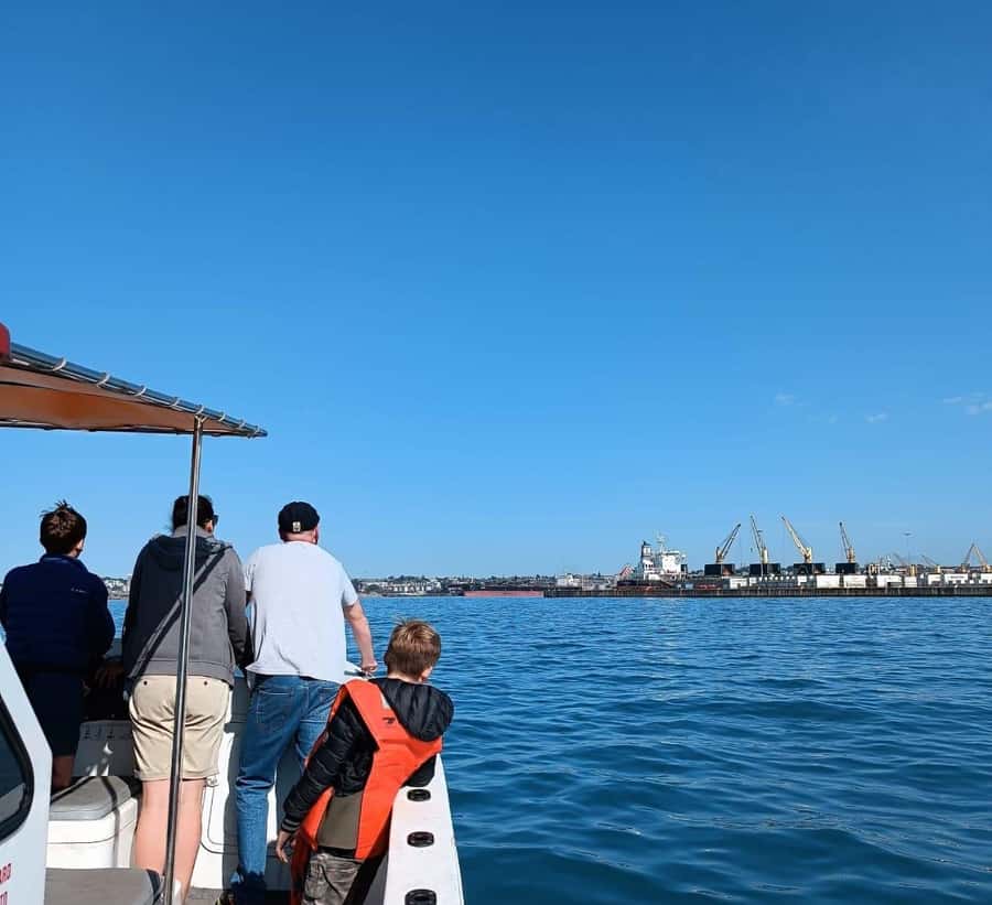 Gqeberha: 30 MINUTE HARBOUR CRUISE - Starting at Nelson Mandela Bay Yacht Club