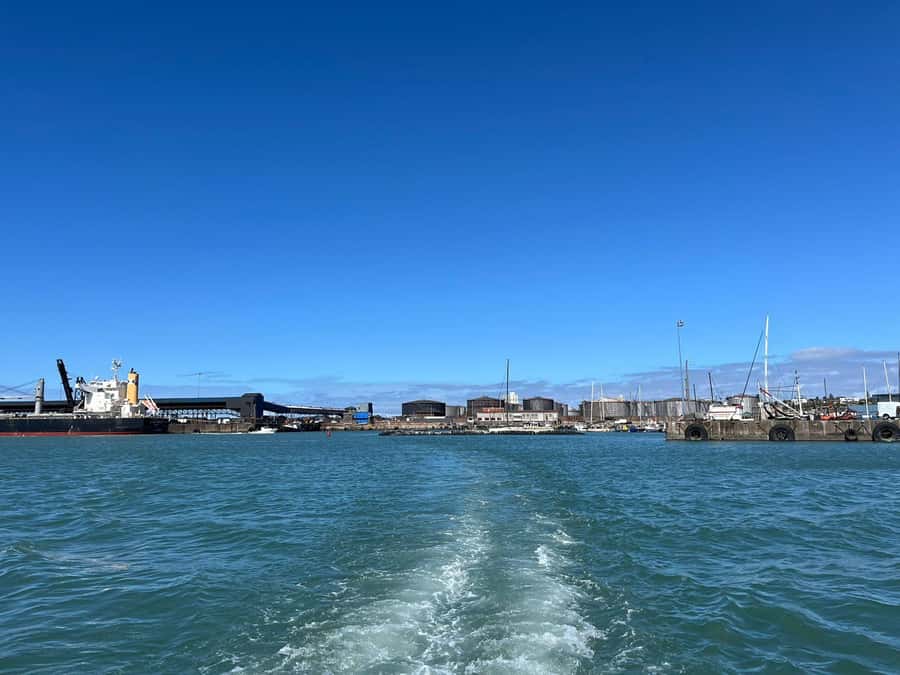 Gqeberha: 30 MINUTE HARBOUR CRUISE - Why the $18 price can make sense