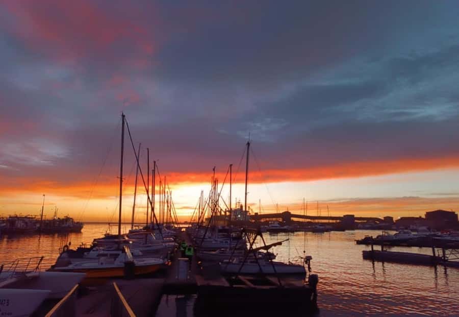 Gqeberha: 30 MINUTE HARBOUR CRUISE - Who will enjoy this harbour cruise