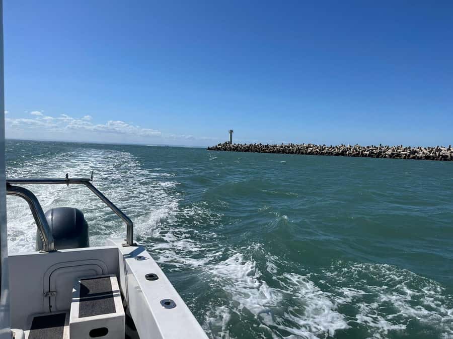 Gqeberha: 30 MINUTE HARBOUR CRUISE - Is the Gqeberha harbour cruise worth booking?