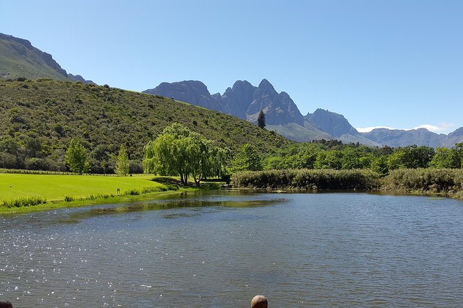 Guided Bike Tour of Stellenbosch - Who will enjoy this Stellenbosch bike tour?
