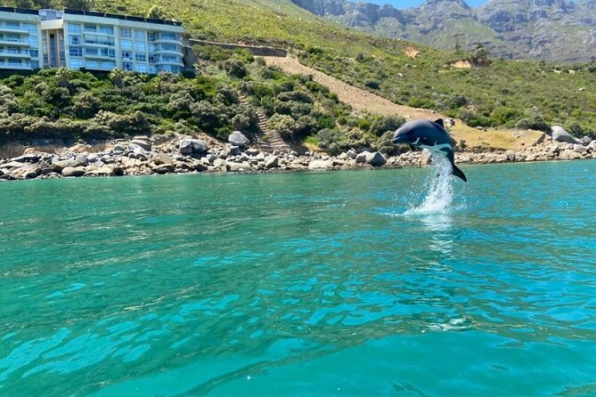 Guided Kayaking in Hout Bay - Getting set with included kayaks and gear