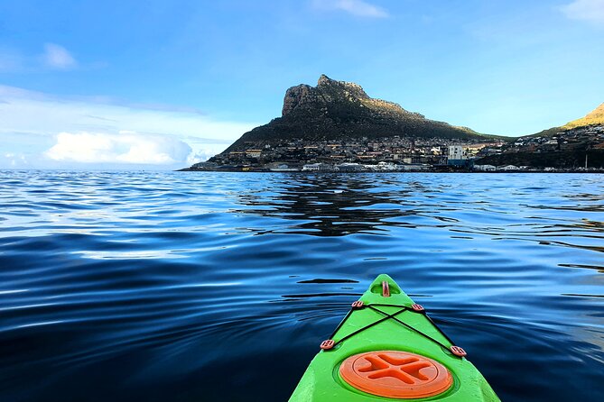Guided Kayaking in Hout Bay - Hout Bay Harbor and the search for marine life