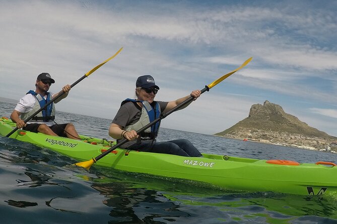 Guided Kayaking in Hout Bay - What the guide adds to the two-hour outing