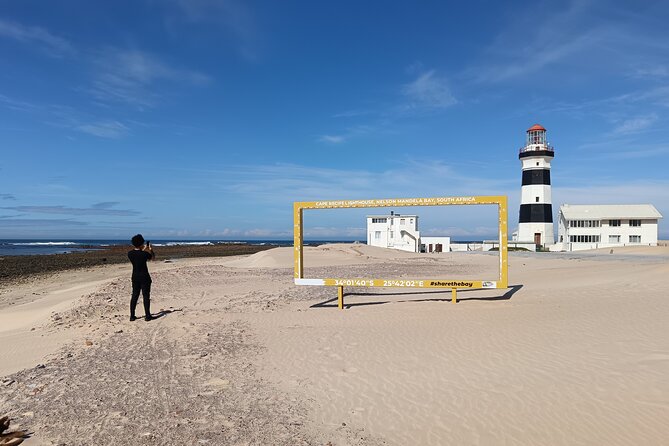 Guided Port Elizabeth Coastal Tour - Key points at a glance