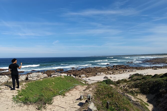 Guided Port Elizabeth Coastal Tour - SANCCOB puts conservation at the center