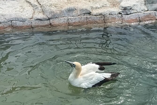 Guided Port Elizabeth Coastal Tour - What the guide adds to the route