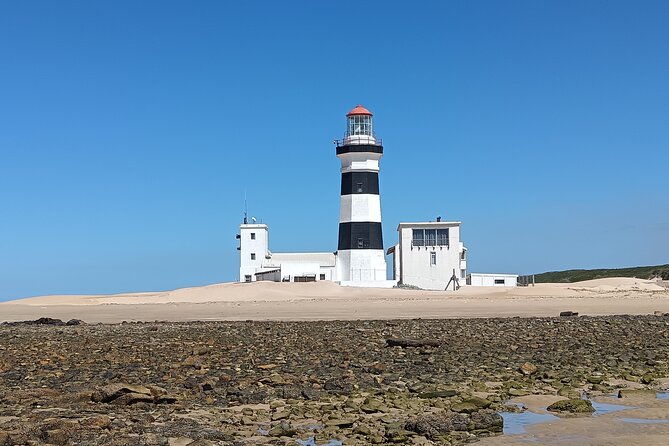 Guided Port Elizabeth Coastal Tour - Shark Rock Pier gives you a quick coastal start
