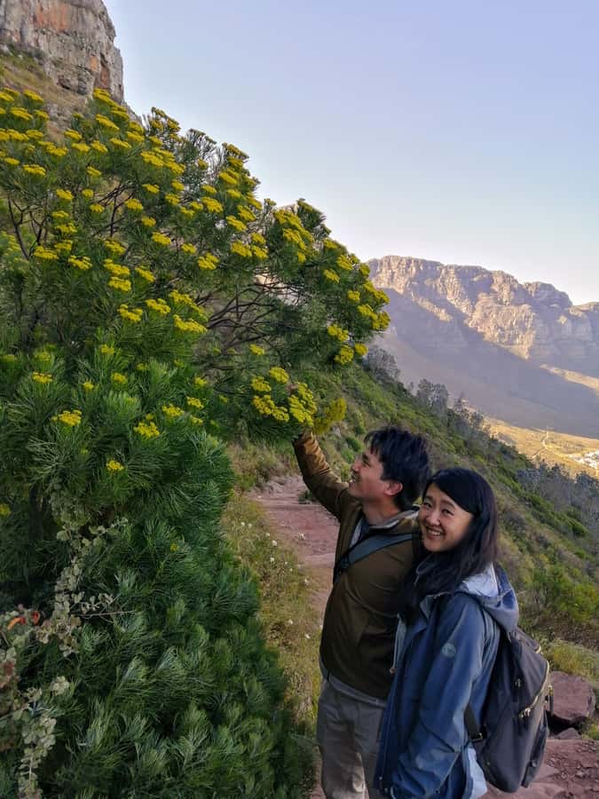 Guided Table Mountain Hike – Kasteelspoort Scenic Route - Reaching the flat summit