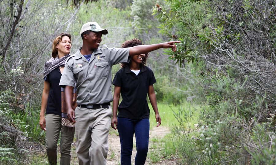 Guided Wildlife Tour and Forest Walk with Lunch Platter - What Makes This Tenikwa Visit Special