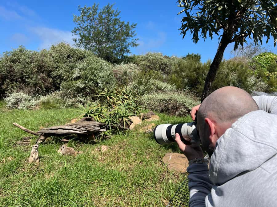 Guided Wildlife Tour and Forest Walk with Lunch Platter - Weather, Clothing, and Practical Limits