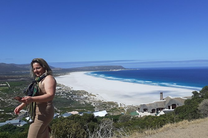 Half day African Penguin Tour - Chapman’s Peak is the scenic high point