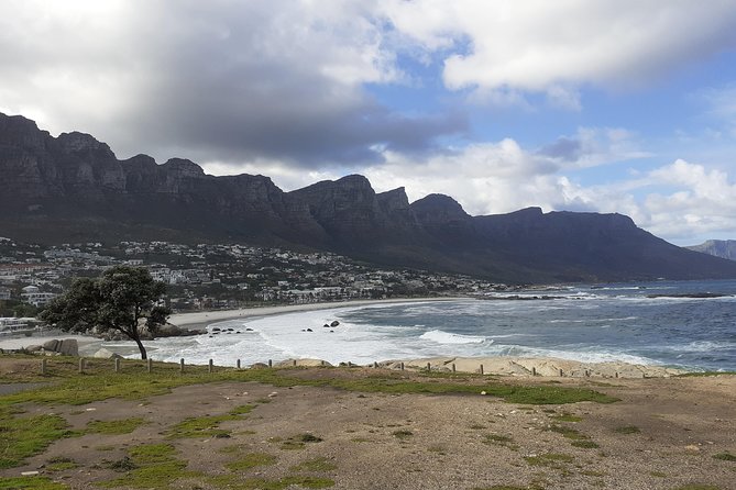 Half day African Penguin Tour - Guides can make or break the morning