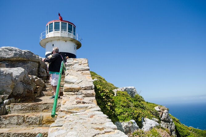 Half day am or pm Boulders Beach & Penguins with visit to Cape Point Great tour - Meeting the penguins at Boulders Beach