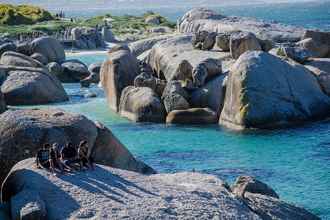 Half day am or pm Boulders Beach & Penguins with visit to Cape Point Great tour - Passing Simon’s Town on the return