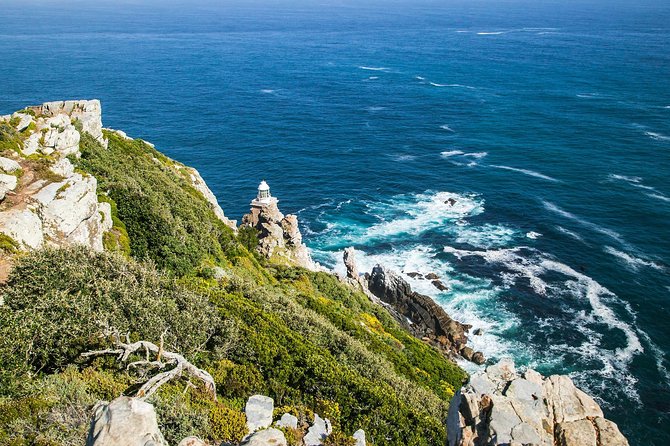 Half-Day Cape Peninsula Tour from Cape Town - Who will get the most from this outing