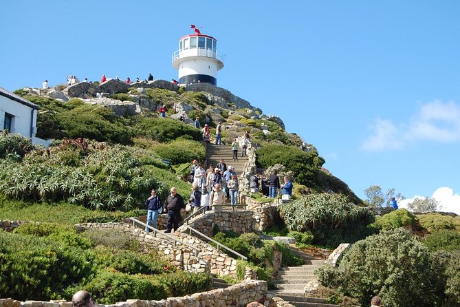 Half day Cape Point Sightseeing Tour with Penguins from Cape Town - Cape Town to Hout Bay: an early start with a good payoff