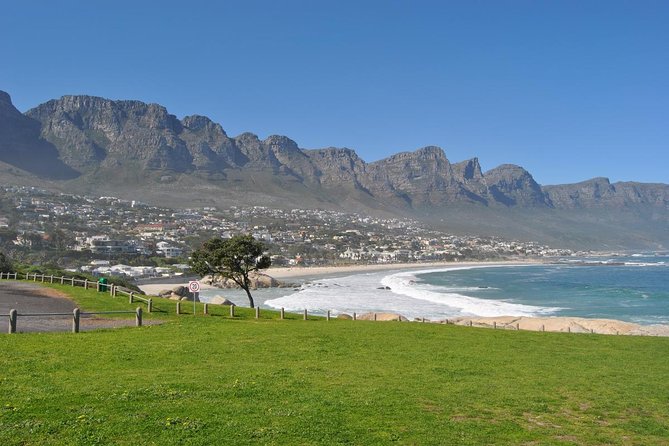Half day Cape Point Sightseeing Tour with Penguins from Cape Town - The return through False Bay, Simons Town, and Muizenberg