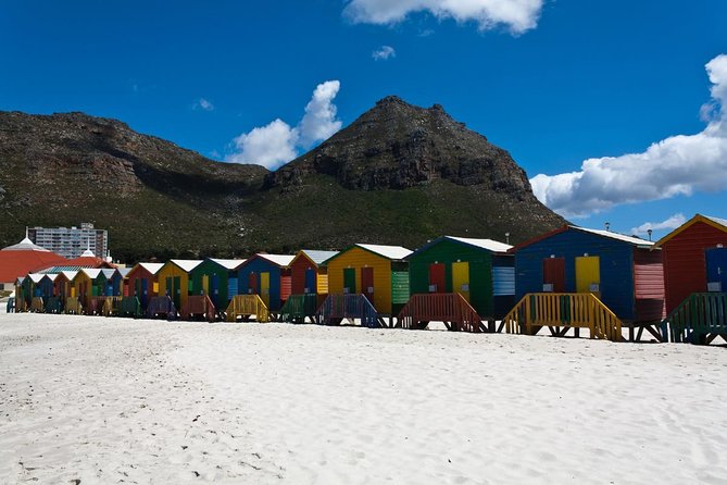 Half day Cape Point Sightseeing Tour with Penguins from Cape Town - Is $86.27 good value for a half-day?
