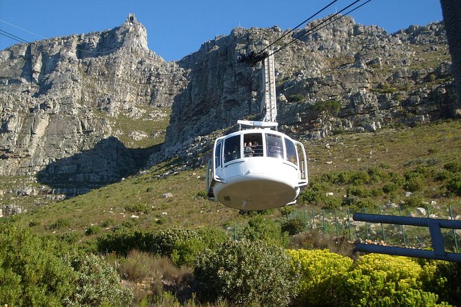 Half day City & Table Mountain Tour - Company’s Gardens and Cape Town’s early supply line
