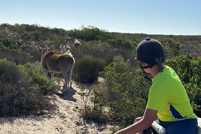 Half day Horse back safari - A farm lunch with a cultural visit
