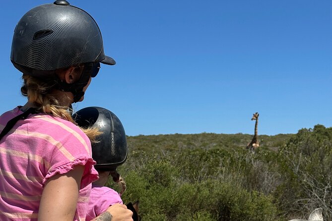 Half day Horse back safari - How much value do you get for $60.60?