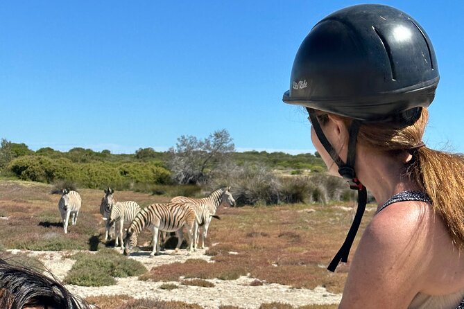 Half day Horse back safari - August to October, when the flowers arrive