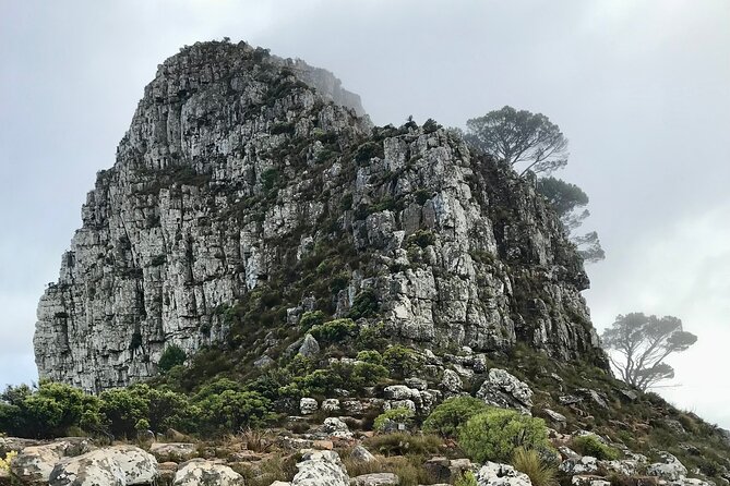 Half-day Lion's Head Hike in Cape Town - Booking, cancellation, and weather plans