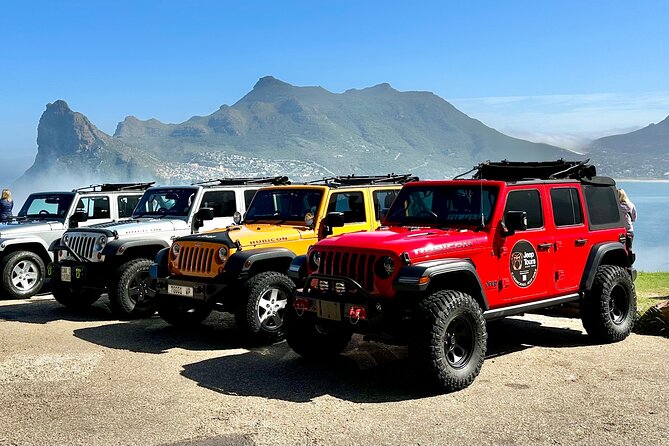 Half day Peninsula & Wine Combo tour - A Cape Town sampler in an open-top Jeep